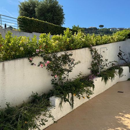Villa Dei Fiori Zambrone Exteriör bild