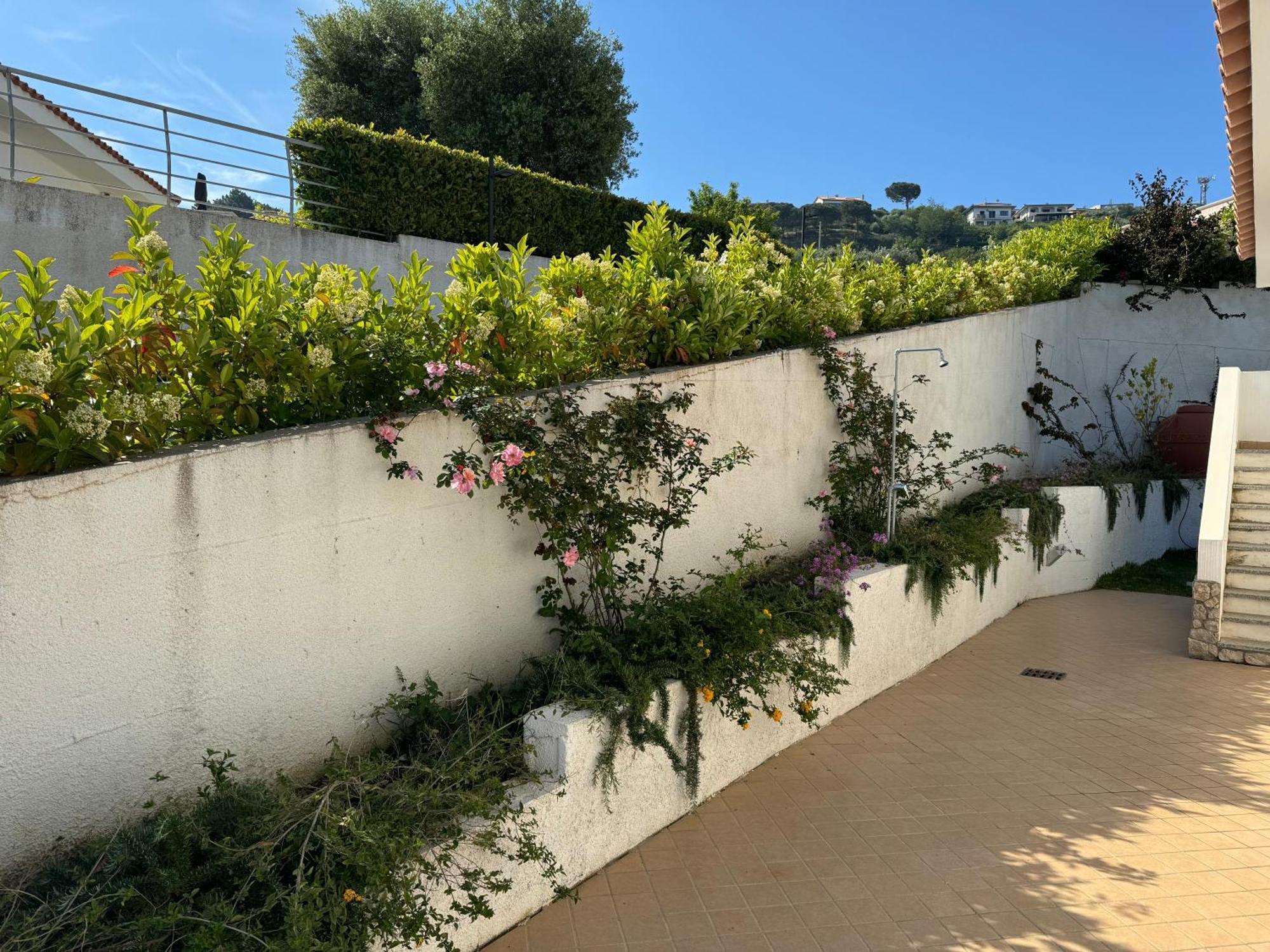 Villa Dei Fiori Zambrone Exteriör bild