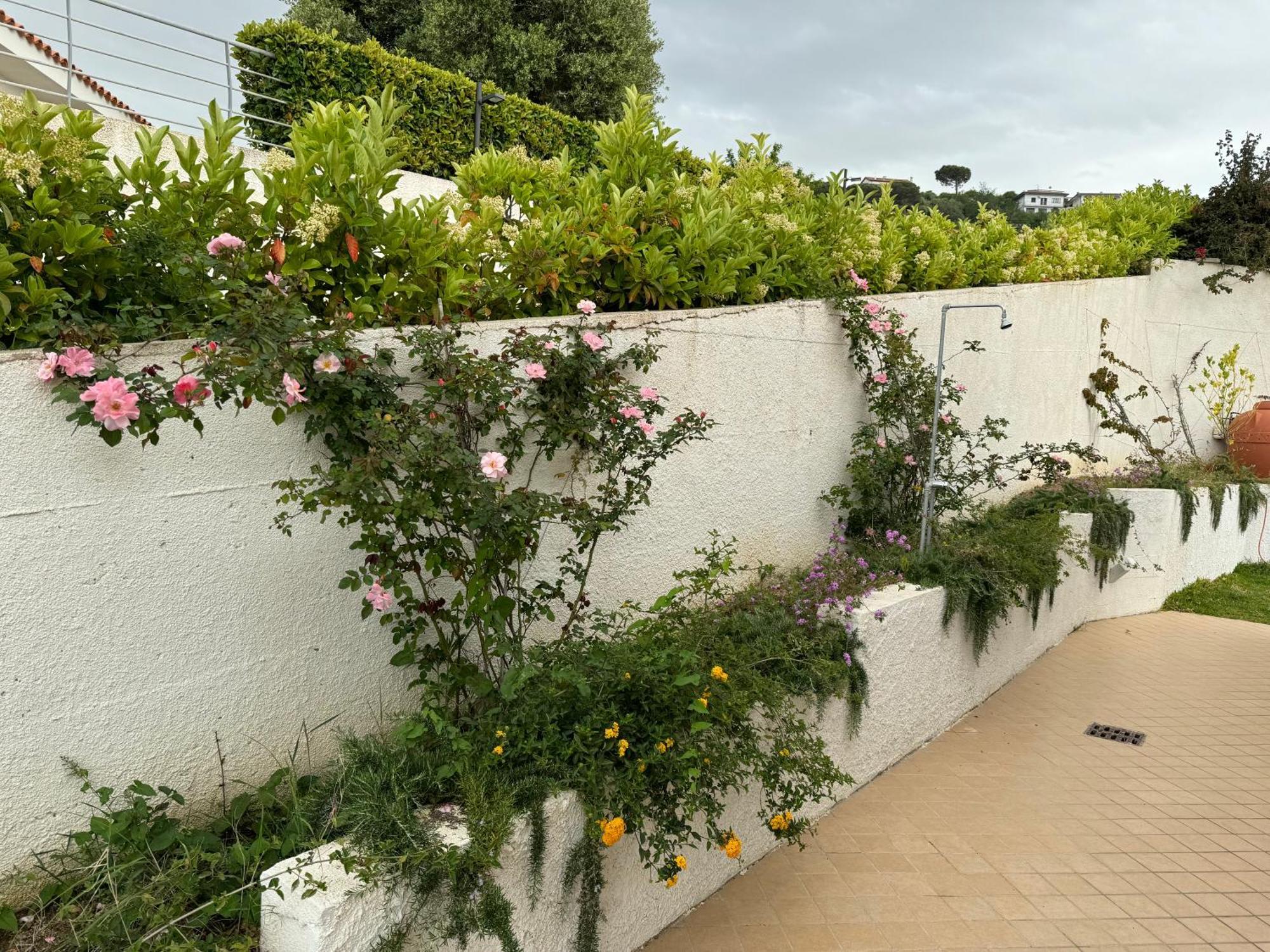 Villa Dei Fiori Zambrone Exteriör bild